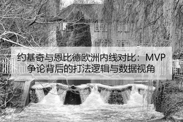 yue-ji-qi-yu-en-bi-de-ou-zhou-nei-xian-dui-bi-zheng-lun-bei-hou-de-da-fa-luo-ji-yu-shu-ju-shi-jiao-2-415.jpg